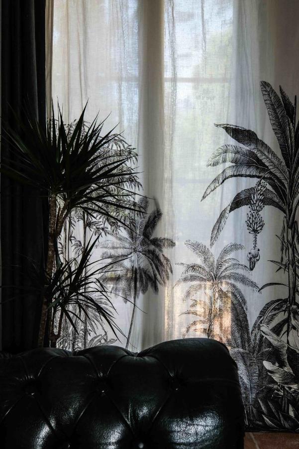 Villa Des Antiquaires Bédarieux Buitenkant foto