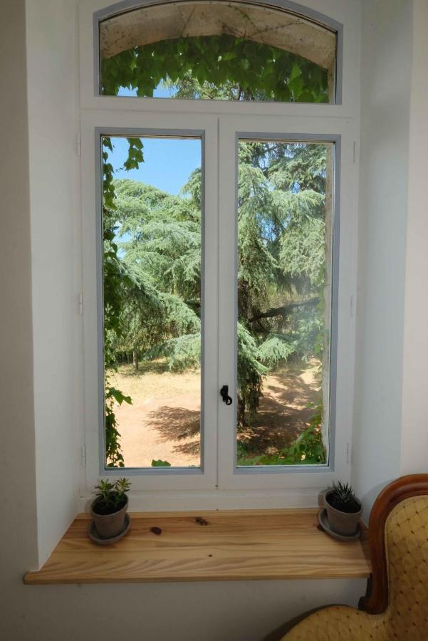 Villa Des Antiquaires Bédarieux Buitenkant foto